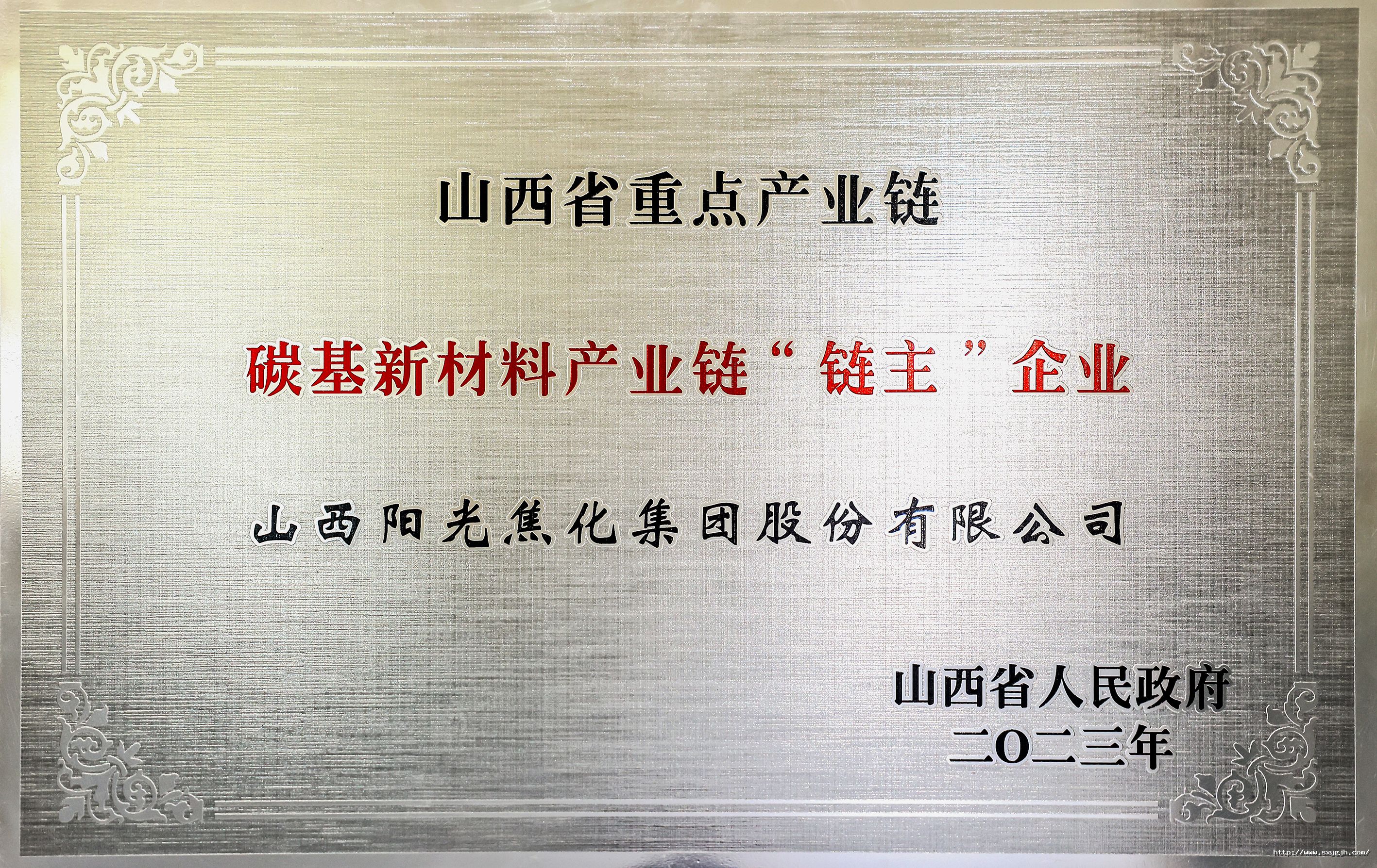 集團碳基新材料鏈主企業(yè)2.jpg